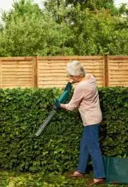 Akumulatorske makaze za živu ogradu EasyHedgeCut 12-35 Bosch