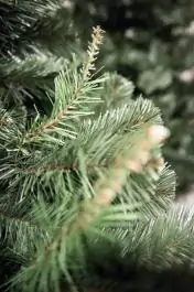 Novogodišnja jelka Aljaska 120 cm