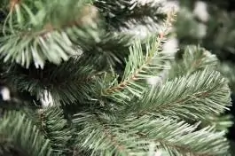 Novogodišnja jelka Aljaska 120 cm