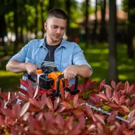 Benzinski trimer za živu ogradu VHPT 27E Villager