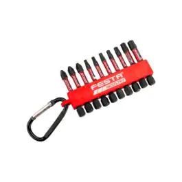 FESTA Set od 10 komada Bitova PH-PZ-TORX S2 1/4" 50mm