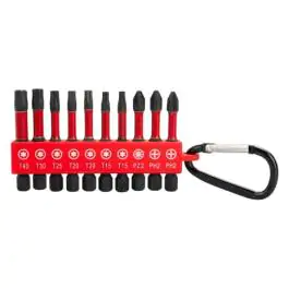 FESTA Set od 10 komada Bitova PH-PZ-TORX S2 1/4" 50mm