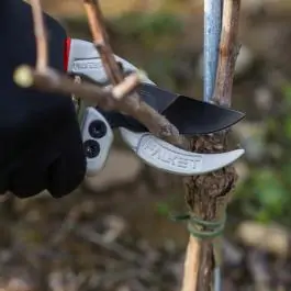 Falket Makaze voćarske 2030