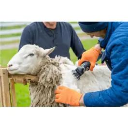 Mašina za šišanje životinja 350W - BORMANN BHC3000