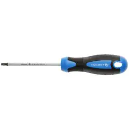 Torx odvijač T40, 100 mm, S2 čelik Hogert HT1S059