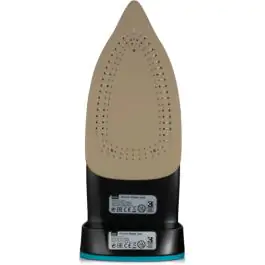 RAF R.1210B pegla na paru 2400-2600W