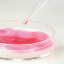 Hemiska laboratorija 200 eksperimenata 101147 BUKI